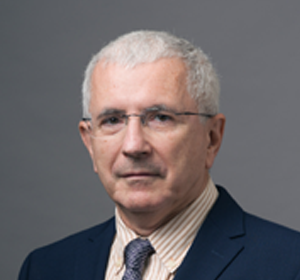 Prof. Dr. Dan Timotin